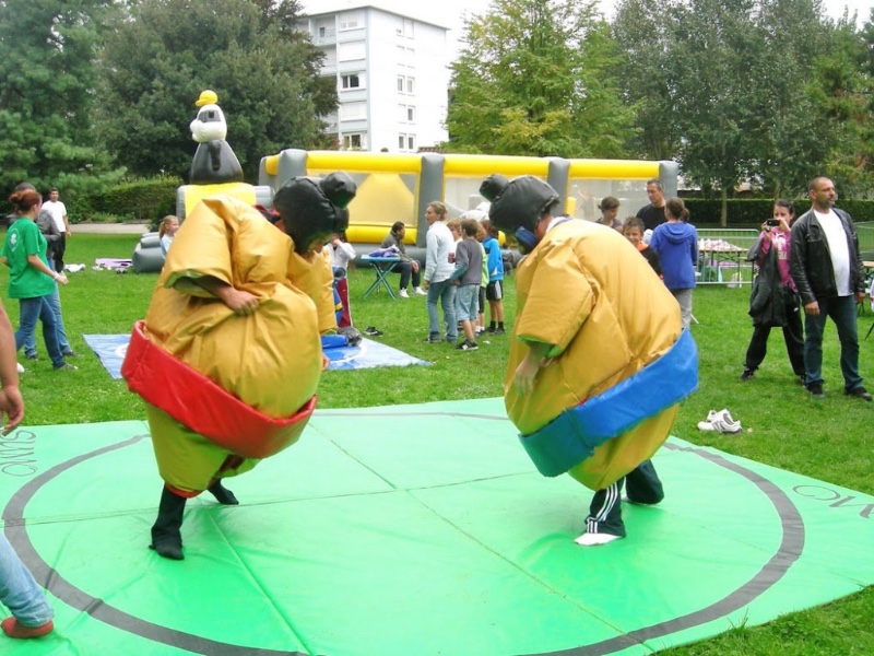 Sumo adultes